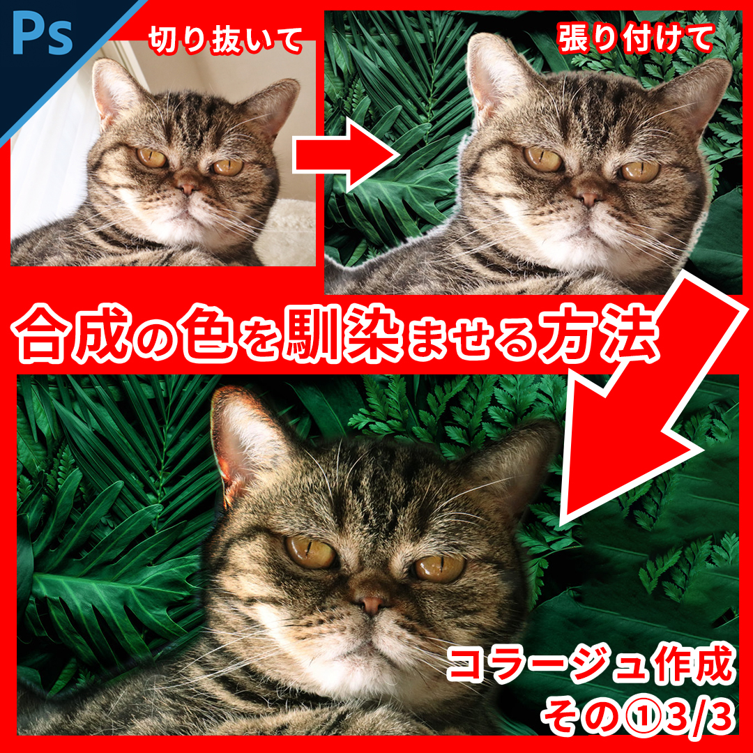 Photoshop合成画像の色を馴染ませる方法 コラージュ制作1 ３ 3 ぴよぴよぴよ どっとこむ